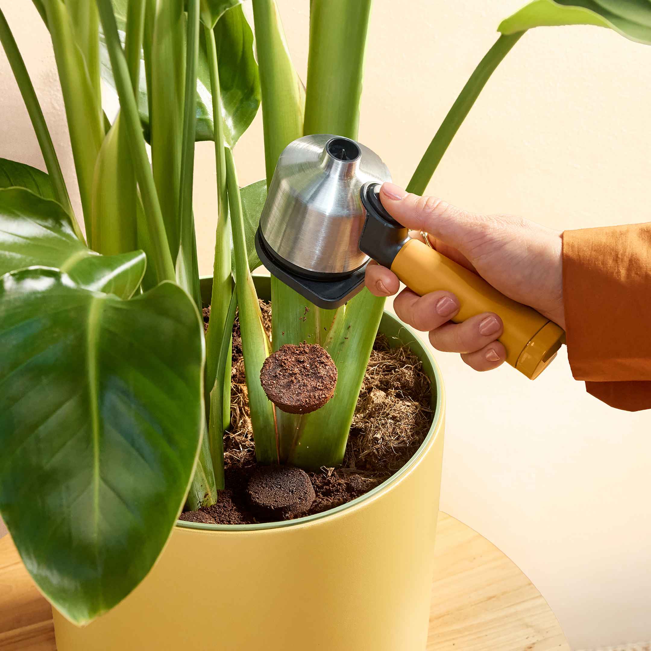 Philips Baristina coffee pucks being disposed into a plant, showcasing sustainable use of coffee grounds as fertilizer. Philips Baristina coffee pucks being disposed into a plant, showcasing sustainable use of coffee grounds as fertilizer.