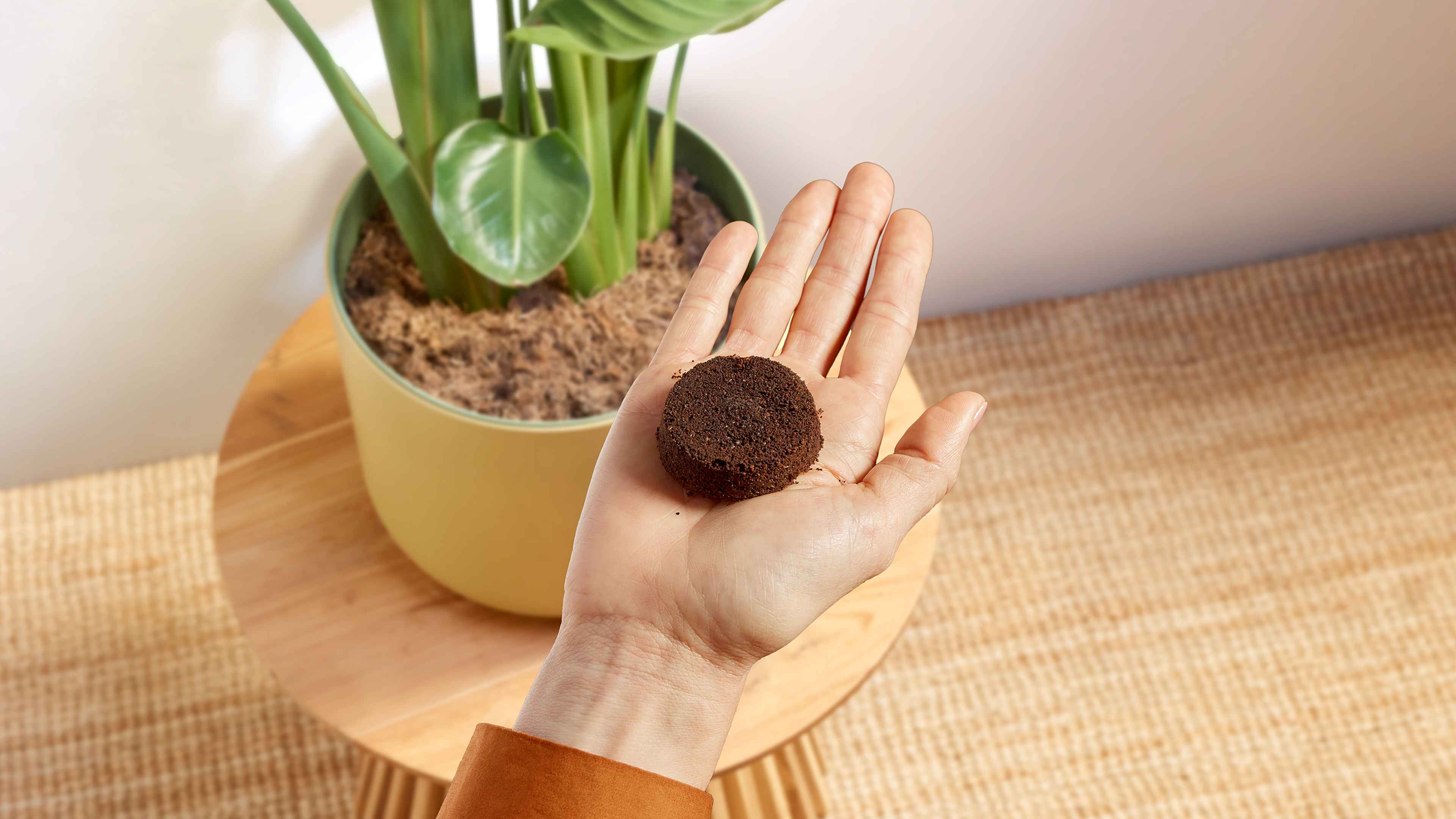 Hand met Philips Baristina koffiepuck, toont efficiënte koffiedikverwijdering uit machine, naast plant. Hand met Philips Baristina koffiepuck, toont efficiënte koffiedikverwijdering uit machine, naast plant.