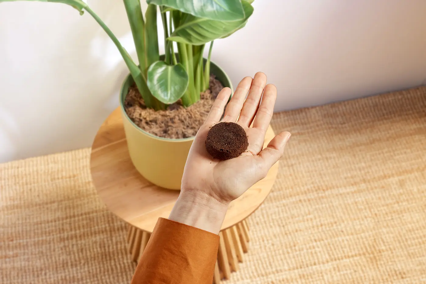 BAR500_feature10.webp BAR500_feature10.webp