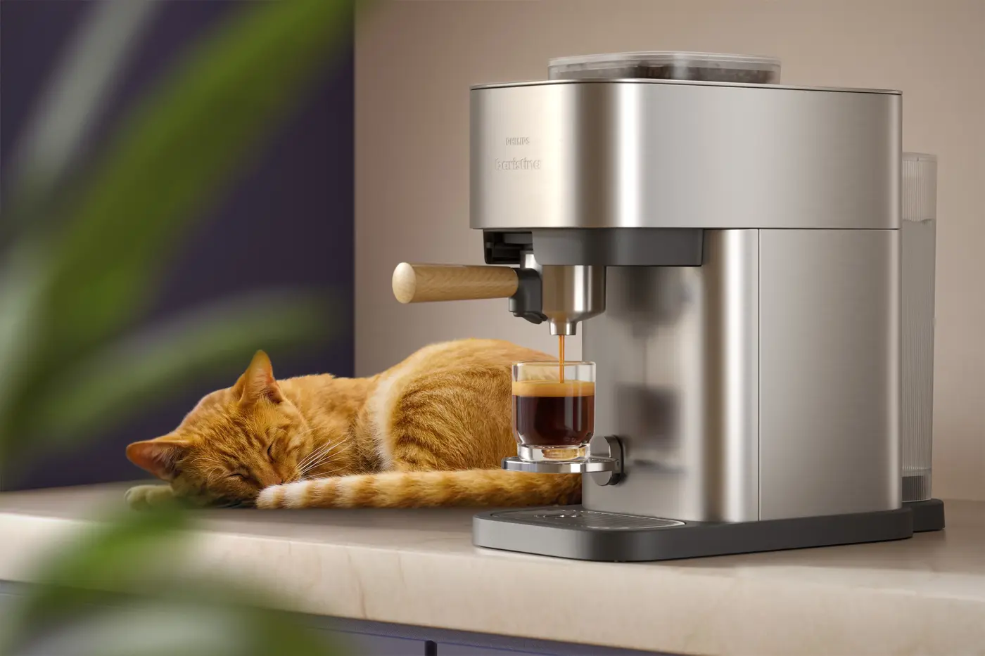 BAR500_feature12.webp BAR500_feature12.webp