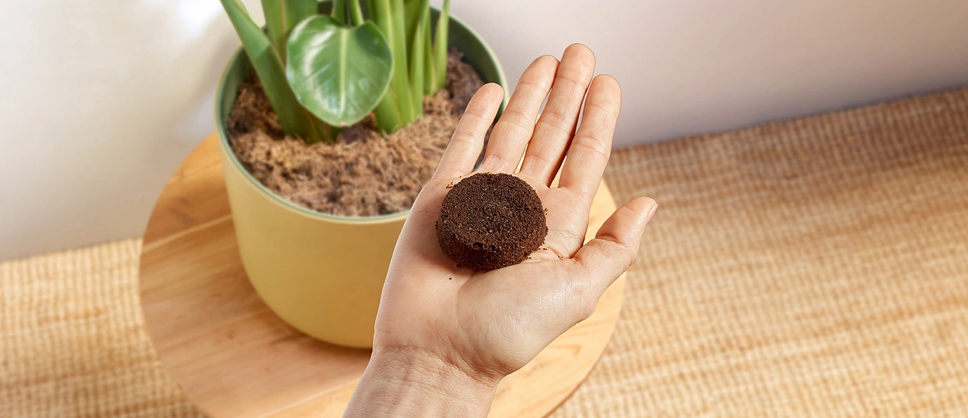 Less waste, more taste Less waste, more taste