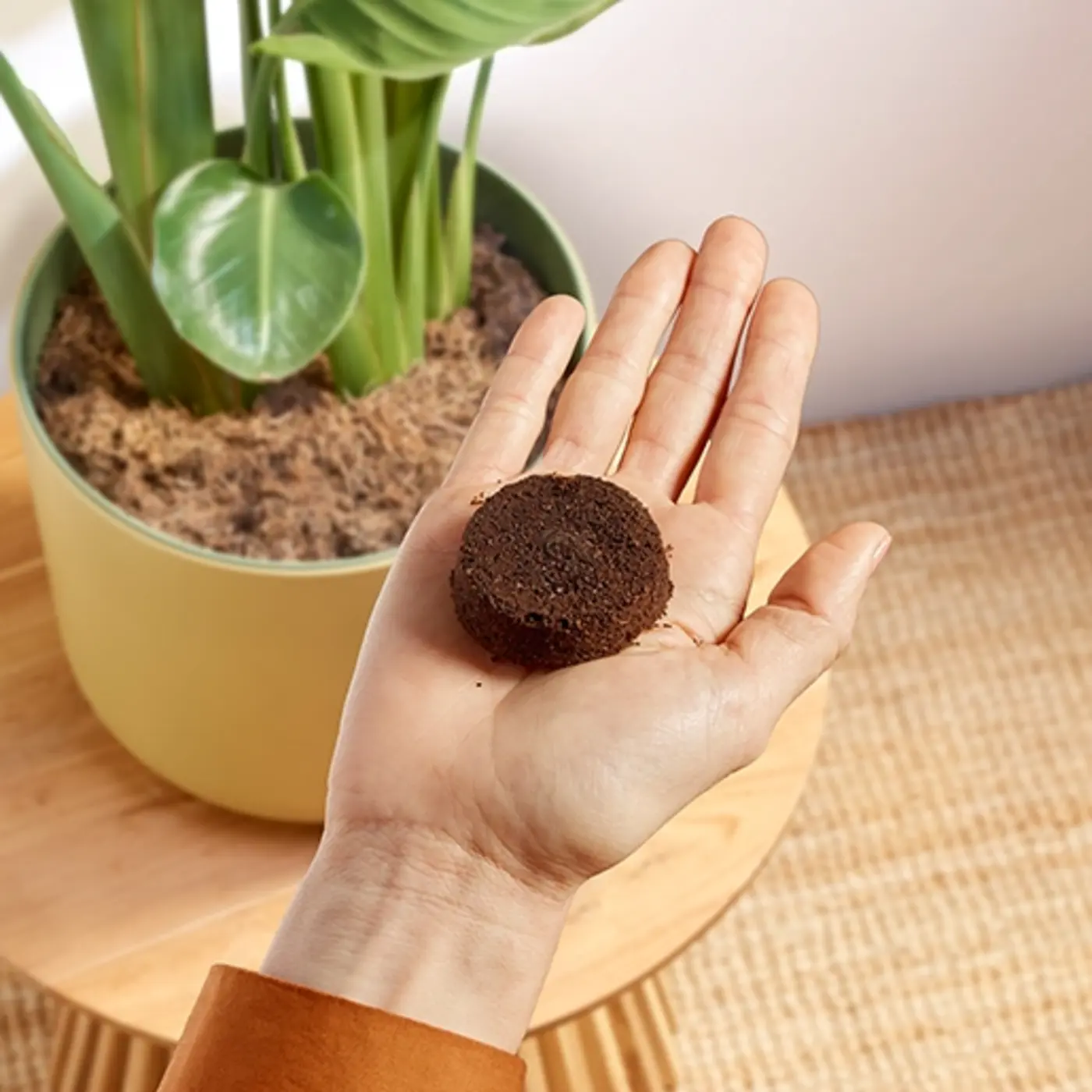 F10_BAR400_00_Less_waste_No_capsules.webp F10_BAR400_00_Less_waste_No_capsules.webp