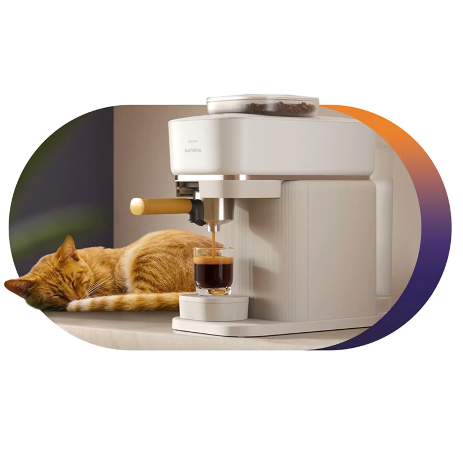 Kot śpiący obok ekspresu Baristina Expresso Kot śpiący obok ekspresu Baristina Expresso