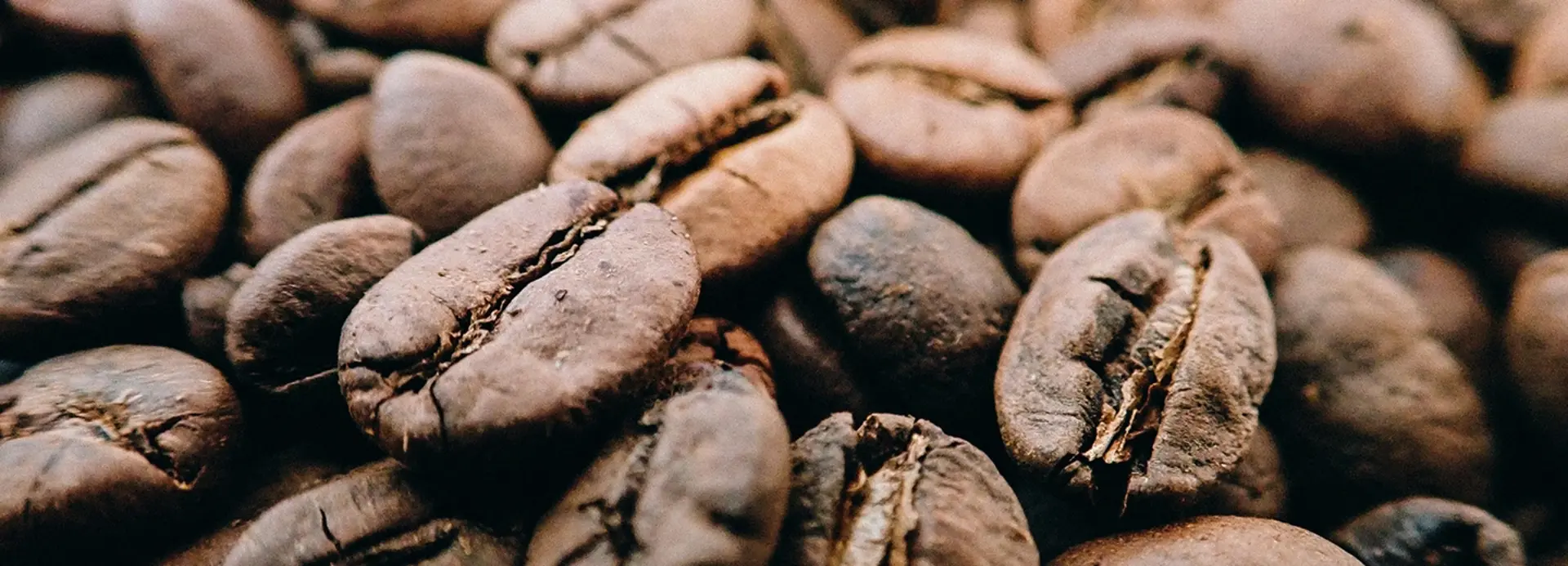 Roasted coffee beans Roasted coffee beans
