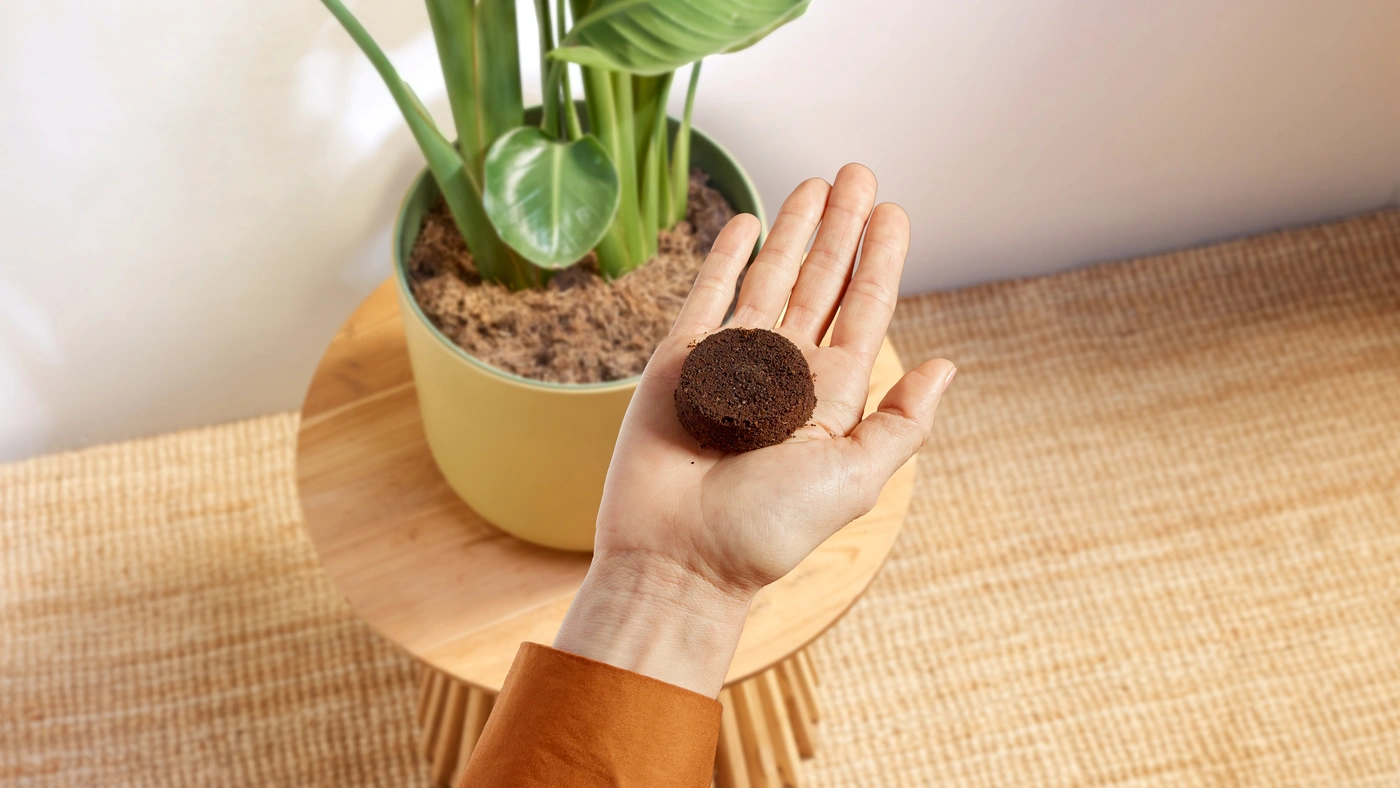 pdp-baristina-beanSwap-feature-9.jpg pdp-baristina-beanSwap-feature-9.jpg