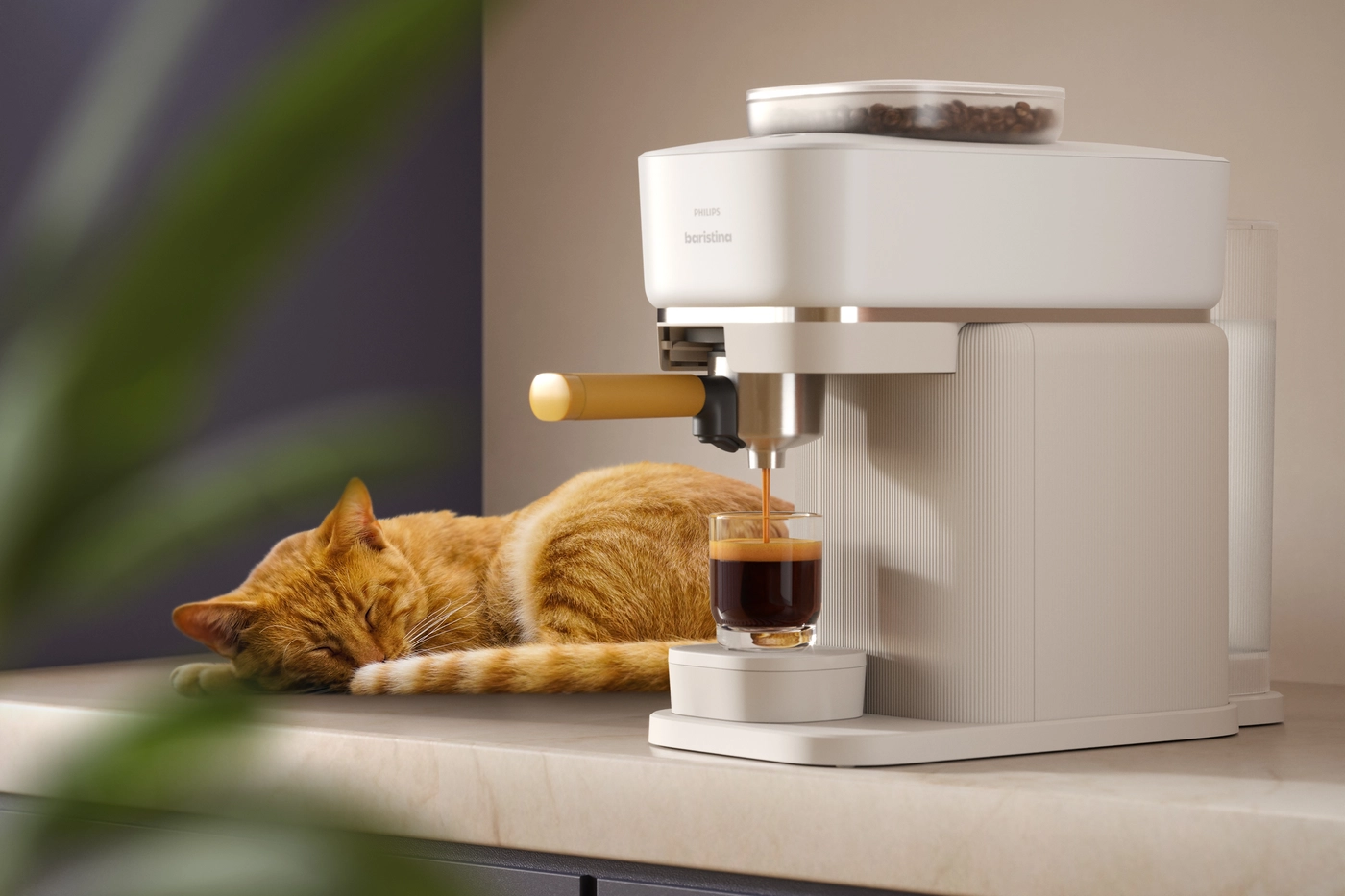 pdp-baristina-feature-10-xl.jpeg pdp-baristina-feature-10-xl.jpeg