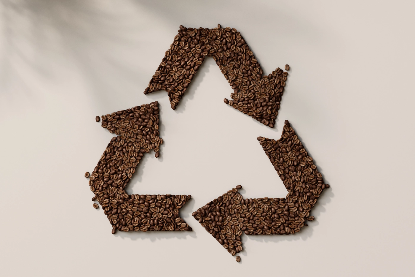 pdp-baristina-feature-9-xl.jpg pdp-baristina-feature-9-xl.jpg